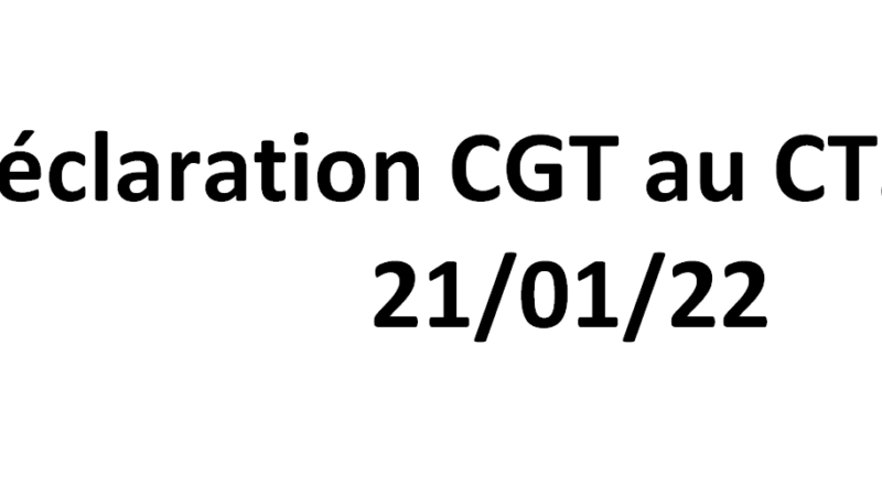 Déclaration CGT au CTSD sur les DHG